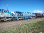 RUMO 9831